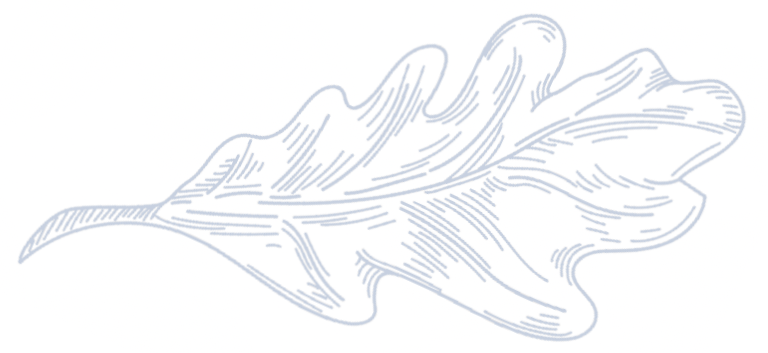 12_1-new A drawing of an oak leaf in blue ink.